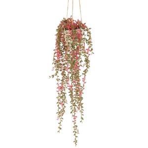 Eucalyptus da appendere